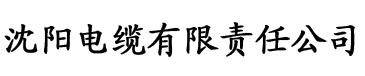 红桃影院av在线电缆厂logo